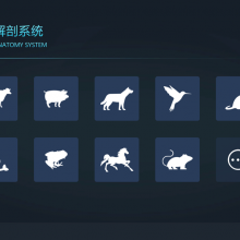 3D兽医学实训系统 兽医解剖虚拟仿真实训基地