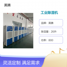 地下室配电房抽湿机 面粉厂 粮库 种子培育室 英腾除湿机 专注除湿15年
