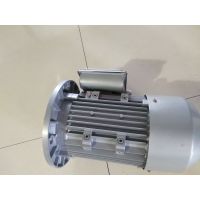 湖北武汉地区用单相2.2KW单相220V电动机