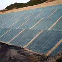 庆阳边坡绿化施工 水泥喷浆挂网锚喷 三维网护坡植草施工队