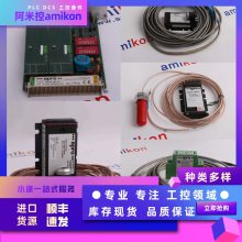 TSI轴振（X/Y）卡(epro) MMS6110 EPRO汽机安全监测TSI