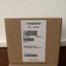 1025128B ģ ˹FOXBORO ԭװ 豸