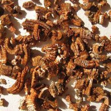  1-3mm3-5mmʯ ʯ ʯ 1