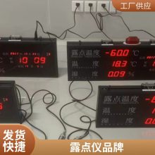 DP900-G酸露点仪 酸露点仪生产厂家直销 诚信立业