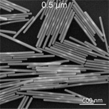 Ӧ ù׺׿ 5nm-60nm 0.1mg/ml 10ml