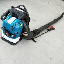 四冲程汽油机背式吹风机 天德立9800马路清扫树叶吹扫机