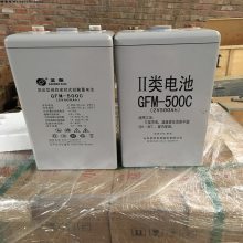 ԭʱ 2V500AHάǦ ʥ GFM-500