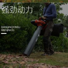 ECHO/ES -250ESᴵ÷ɭַ԰̻