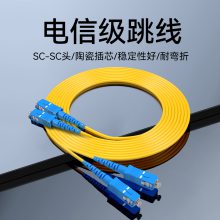 全新光钎跳线SC-SC单模双芯电信级3M尾纤方头SC口光纤线3米UPC