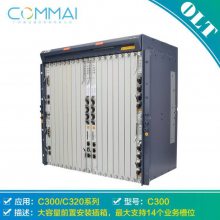  ZXA10 C300 19 OLTֶ豸 豸EPON GPON 