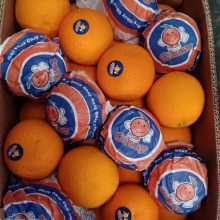 �� ��ˮ���� Ӧ���������Ĵ�ˮ���� ���г� �� ������������