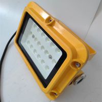 ۸DGS18ͷ LED վ20W