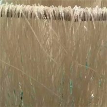 ⶳϴֱɹ ý˿