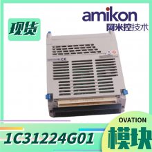 1C31129G03 ģģ