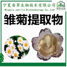 雏菊提取物 多糖 雏菊粉 100-300目 浓缩液 雏菊喷雾干燥粉