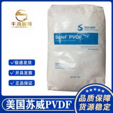 ͸PVDF 20810-20 ͺ ƫϩԭ