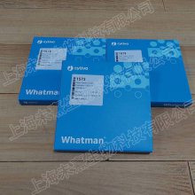 ӢCytiva Grade 1573ʪǿֽ10314712