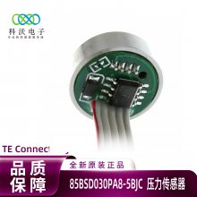 85BSD030PA8-5BJCѹ ѹ Ǳˮȼ ̩TE