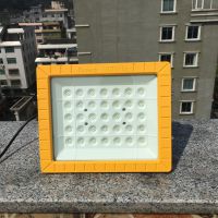 BZD118ά̼LED100W
