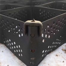 ̻ʩ̬