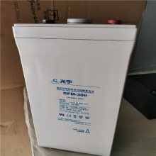 GFM-600 Ǧά 2V600AH upsԴ ֱ