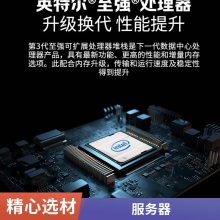 DELL戴尔poweredge R250 1U单路机架式 电脑文件存储服务器