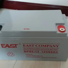 EASTNP65-12/12V65AHֱ