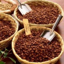 埃塞俄比亚咖啡豆进口报关，清关代理，上海港食品通关货代