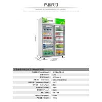 绿零大二门冷藏展示柜 SGZ-1000L2F冷藏保鲜柜 饮料陈列柜