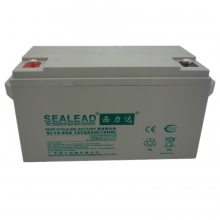 SEALEADSL12-10012V100AH UPSֱר