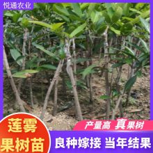 Ҷڽպǰż޽統ˮ
