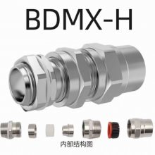 ͷBHJ 304ֲ ־ExdCT4Ga BNG-DN25Թ
