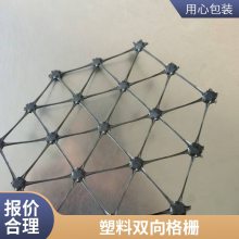 双向塑料土工格栅 世杰 路基增强边坡防护 道路公路 畜牧养殖网