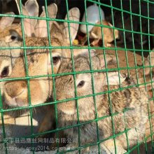 养兔子隔离网A梅州绿色养鸡护栏网A迅鹰树林散养鸭子围网厂