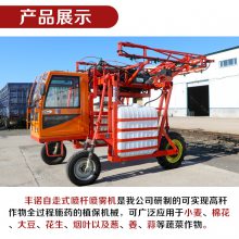 建大棚种彩椒回乡当起“农创客”
