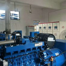 ΫԭװWPG188B8NGȻ 187.5KVAΫȼ