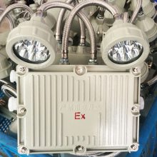 LED˫ͷӦ BCJ-2X20 ȫ