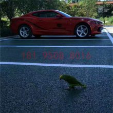 银川透水地坪建设海绵城市