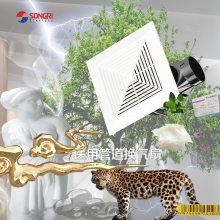 ҃(ni)՚⽻Q ϺգSONGRIܵ컨 ՚{(dio)(ji)ͨ L(fng)C(j) L(fng)C(j)