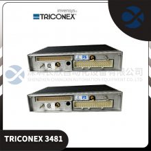 TRICONEX 4119A Ӣά˼