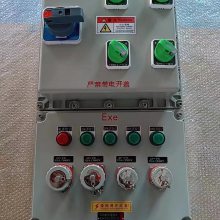 防爆温控箱 304不锈钢隔爆配电箱 380/220v智能控制箱 规格定制厂