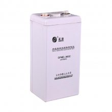 ʥ GFMD-300C 2V300AH̶ά ר