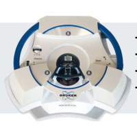BRUKER ԭ΢ BioScope Resolve