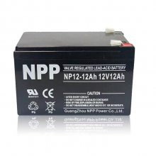 NP12-8AHNPP12V8AHܷⷧʽά***