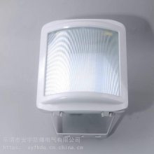 吸壁式防水防尘防震泛光灯GT001-L100/金卤灯100W