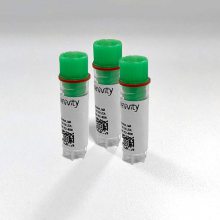 PE Cannabinoid CB1 (human) membrane preparation