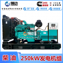 中国东风康明斯250kW千瓦柴油发电机组 稳定性和耐久性历经考验