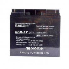 RAGGIE6FM-38 12V38AH/20HR̫ Ӧϵͳ ߵѹ