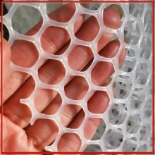 育雏加厚网床制作 纯白塑料平网生产 阳台花盆防坠网厂