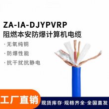 ZR-IA-DJYPVPR-2*2*1.5 本安屏蔽计算机电缆 耐高温防潮耐磨